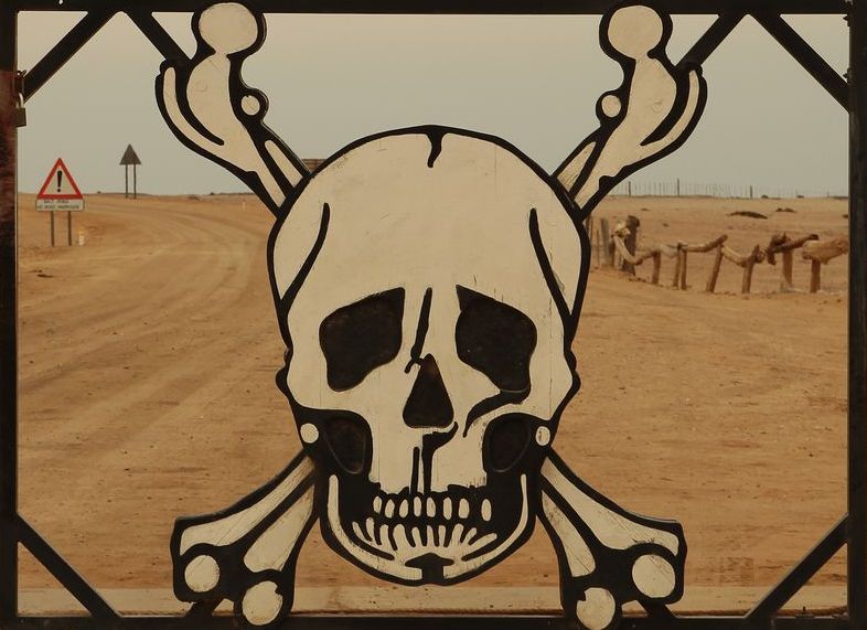 skeletoncoast.JPG